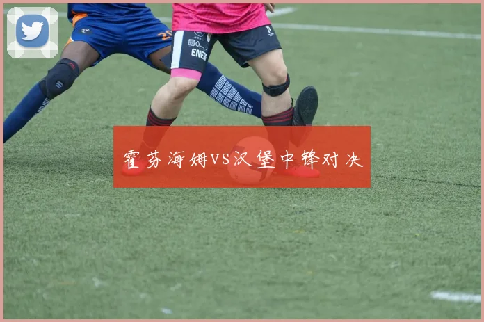霍芬海姆vs汉堡中锋对决